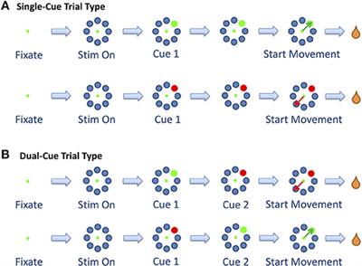 Modulations in Oscillatory Activity of Globus Pallidus Internus Neurons During a Directed Hand Movement Task—A Primary Mechanism for Motor Planning